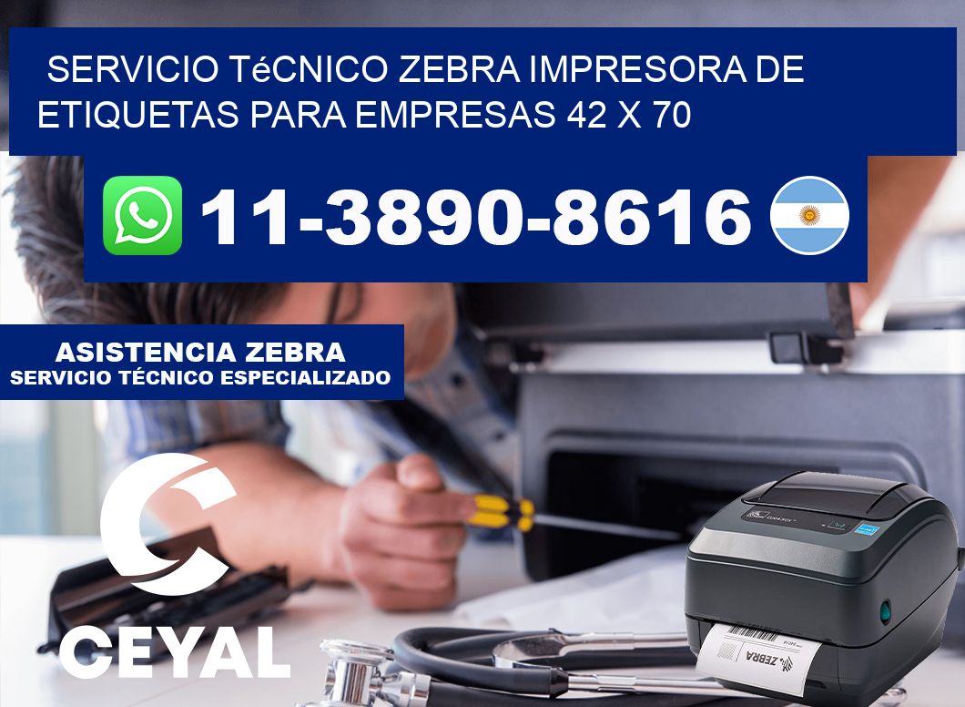 Servicio Técnico Zebra Impresora de Etiquetas para Empresas 42 x 70