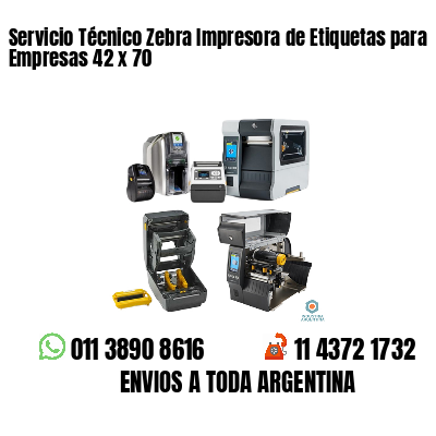 Servicio Técnico Zebra Impresora de Etiquetas para Empresas 42 x 70