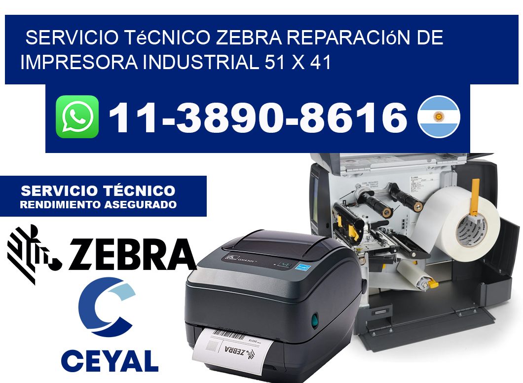 Servicio Técnico Zebra Reparación de Impresora Industrial 51 x 41