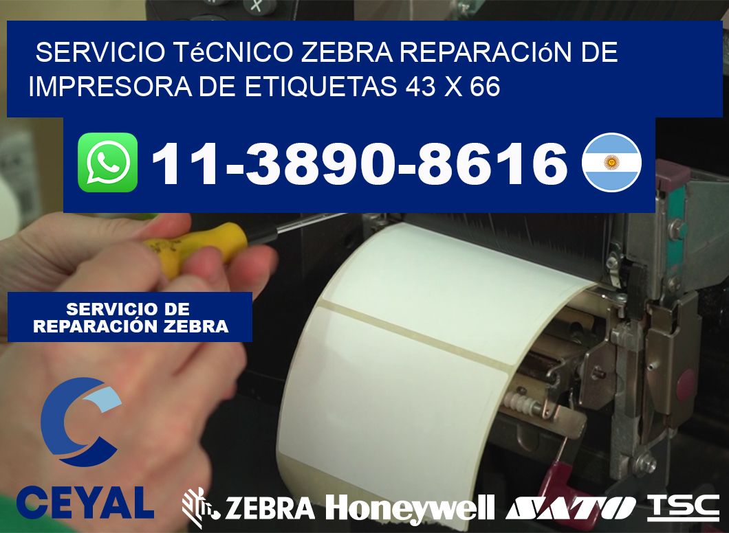 Servicio Técnico Zebra Reparación de Impresora de Etiquetas 43 x 66