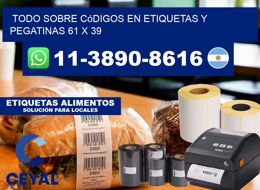 Todo sobre códigos en etiquetas y pegatinas 61 x 39