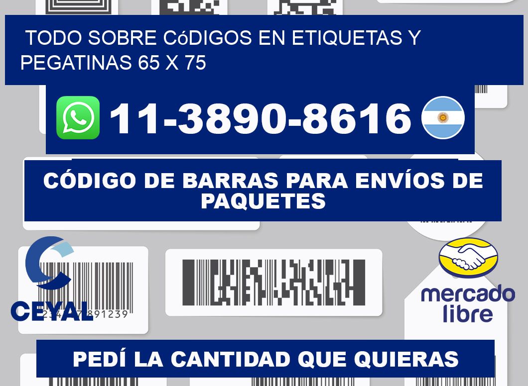 Todo sobre códigos en etiquetas y pegatinas 65 x 75