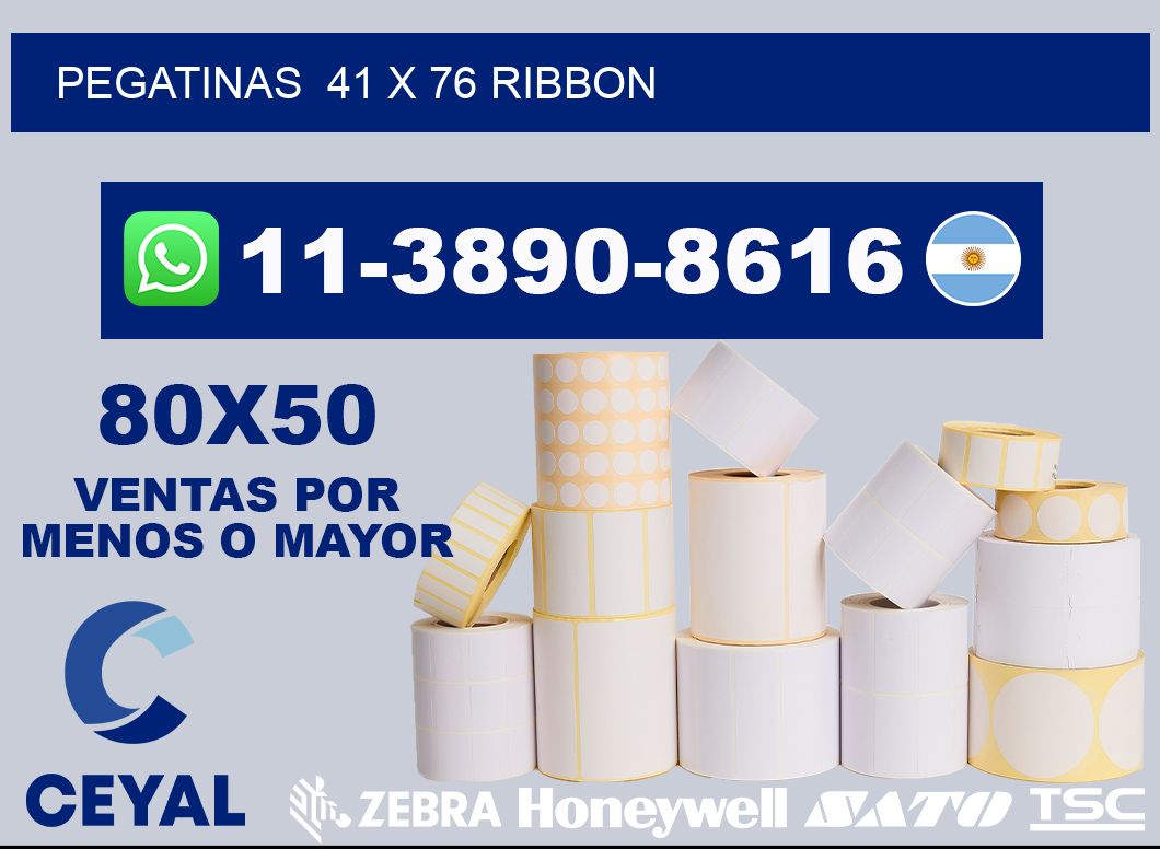 pegatinas  41 x 76 ribbon