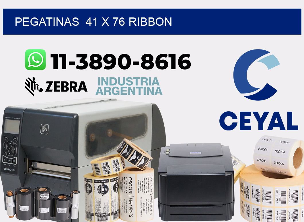 pegatinas  41 x 76 ribbon