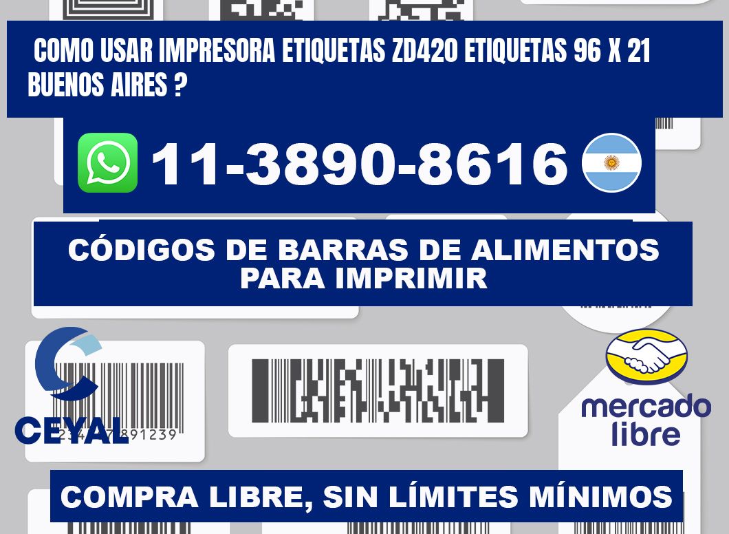 como usar impresora etiquetas zd420 etiquetas 96 x 21 Buenos Aires ?