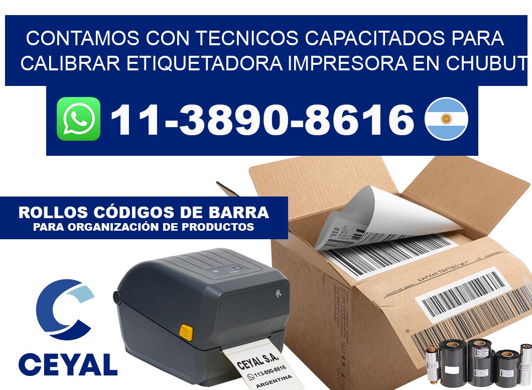 contamos con tecnicos capacitados para calibrar etiquetadora impresora en Chubut