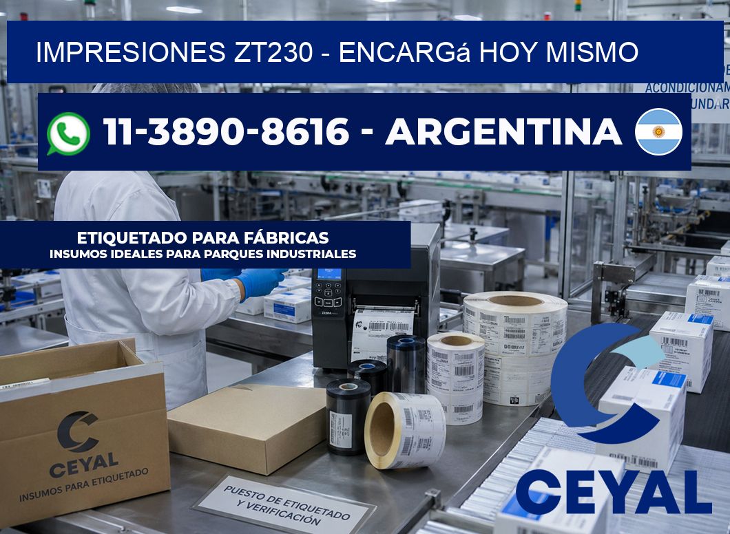Impresiones ZT230 - Encargá hoy mismo