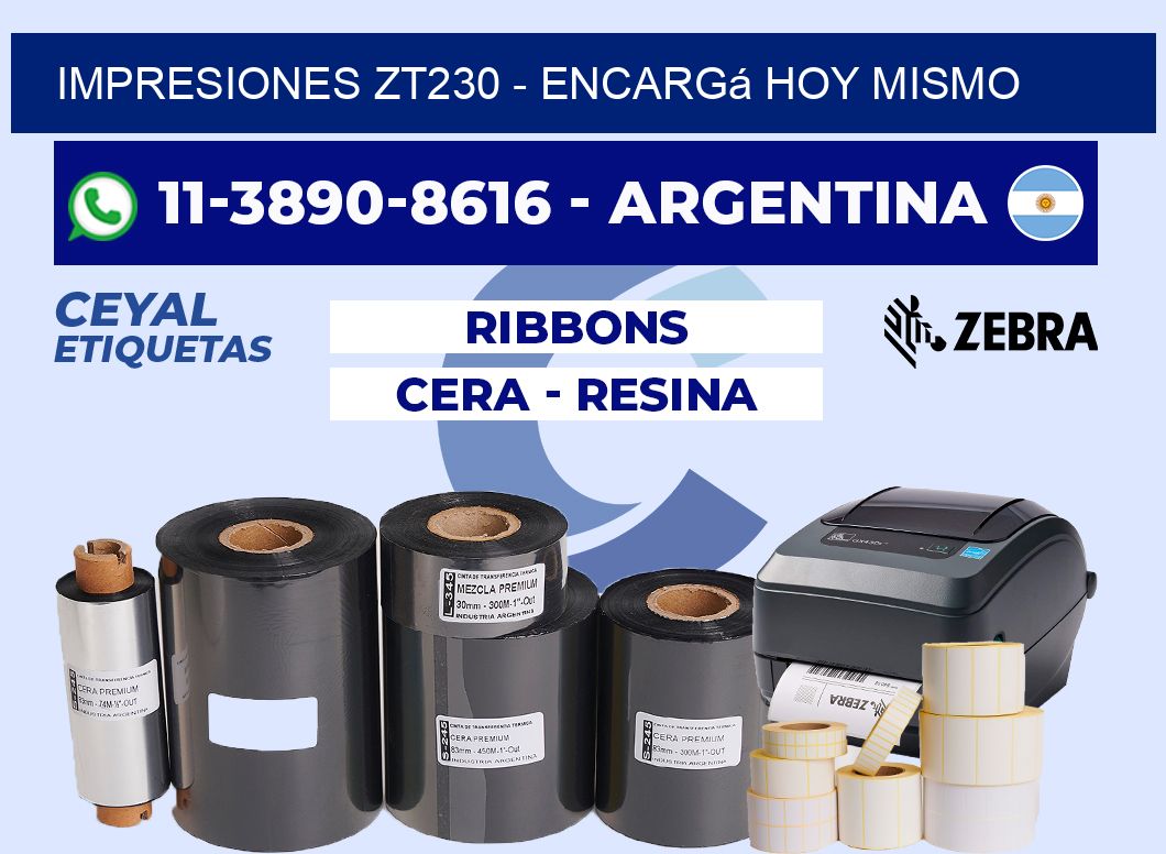 Impresiones ZT230 - Encargá hoy mismo