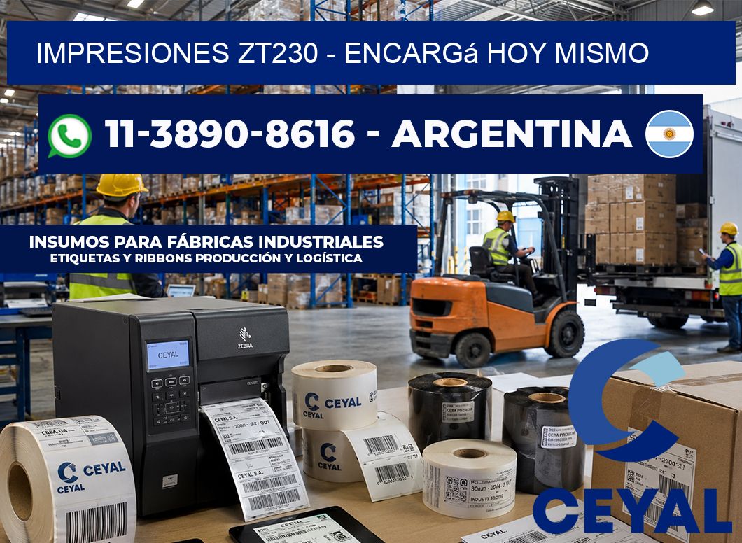 Impresiones ZT230 – Encargá hoy mismo